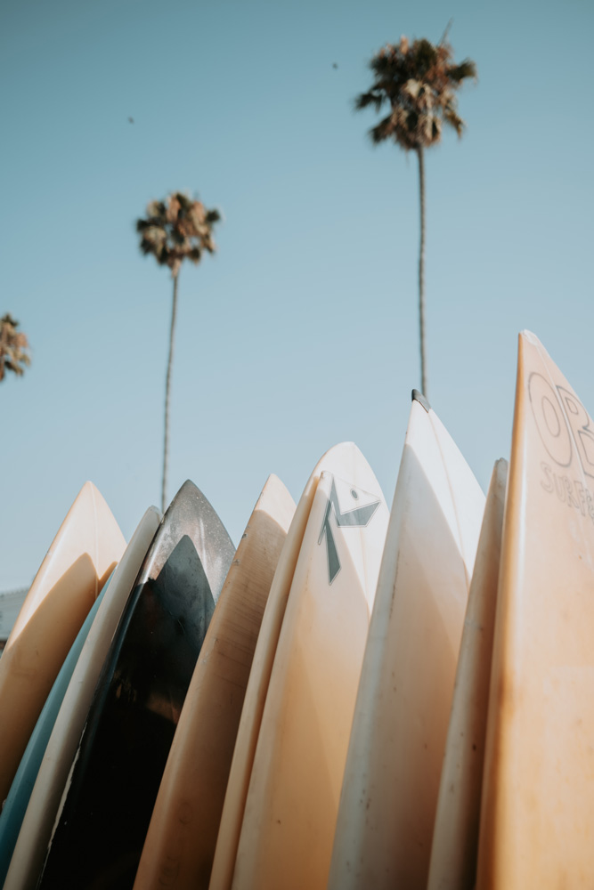 Photography by Roger J. Tedoldi