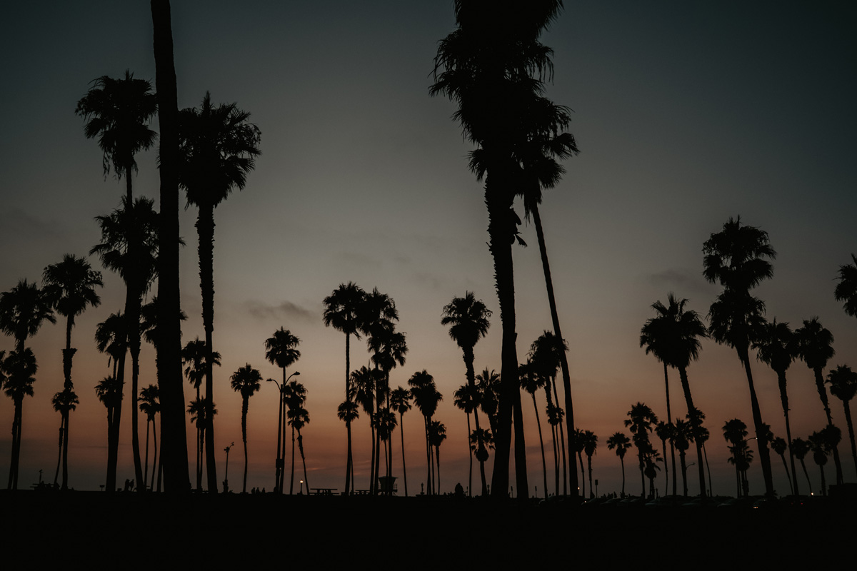 Photography by Roger J. Tedoldi